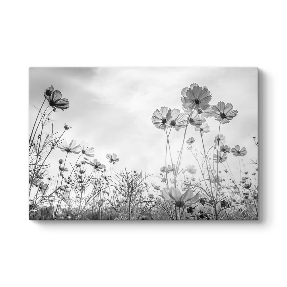 Cosmos Çiçeği Kanvas Tablo - Model 1